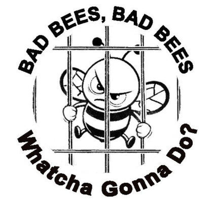 Carpenter Bee Traps